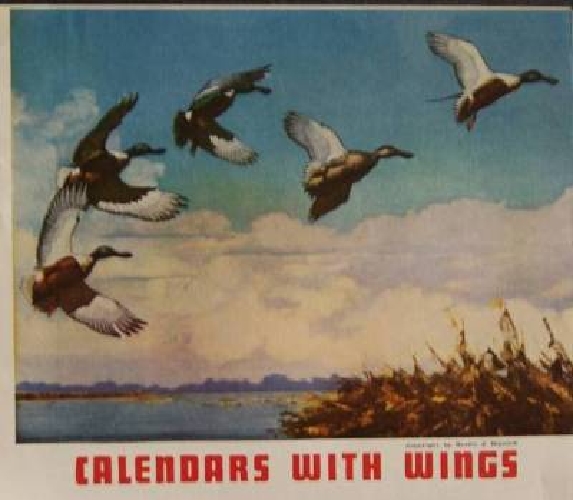 Richard E Bishop Duck Calendars Artist 1949 Brown Bigelow Pictorial